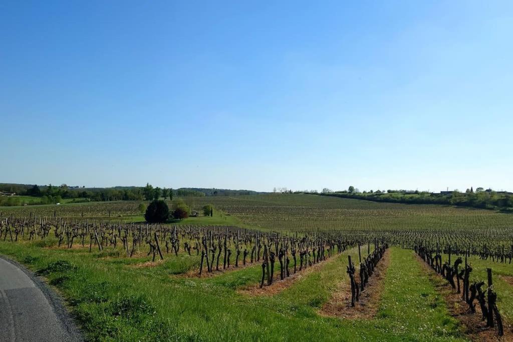 Entre Pierre Et Vigne - Charming Former Winery Farmhouse With Hot Tub & Swimming Pool Monestier  Ngoại thất bức ảnh